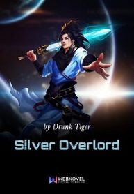 silver-overlord-boxnovel