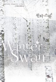 Winter-Swan