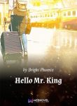 Hello-Mr.-King