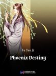 phoenix-destiny