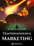 transdimensional-marketing