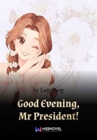 good-evening-mr-president